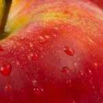 Personal Conscience and Scientific Ethics: Listening to the Still Small Voice